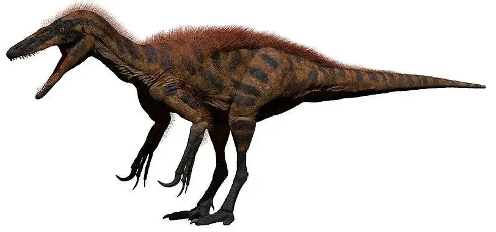 Interesting facts about a Richardoestesia dinosaur for kids.