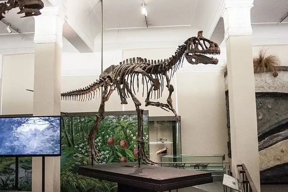 Interesting Iguanacolossus facts about this dinosaur include that they are from the Early Cretaceous period.Fruits, plant leaves