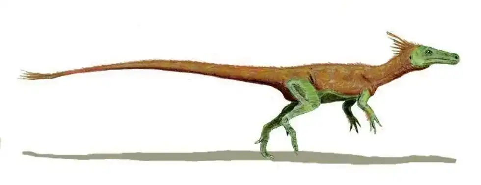 Interesting Juravenator facts including details about its skin, feathers, history, and classification.