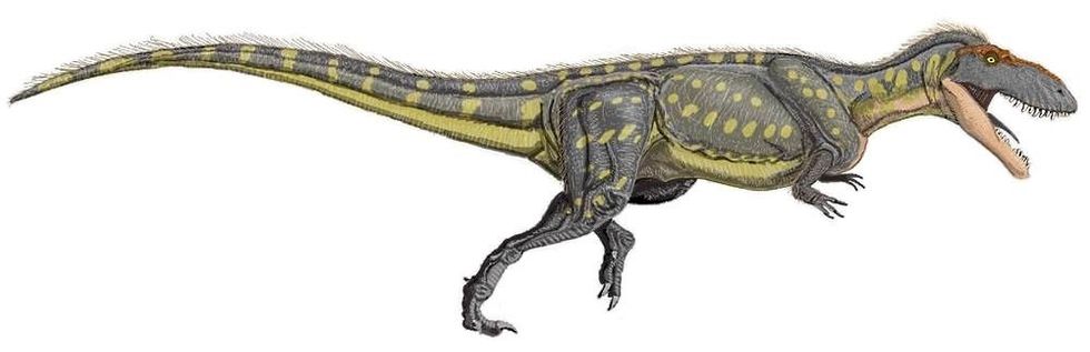 Interesting Leshansaurus facts for kids to enjoy.