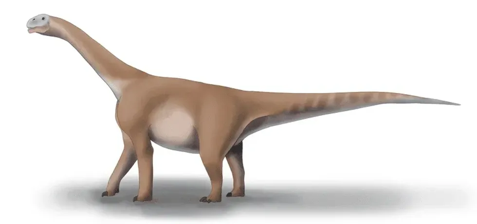 Interesting Moabosaurus facts for kids.