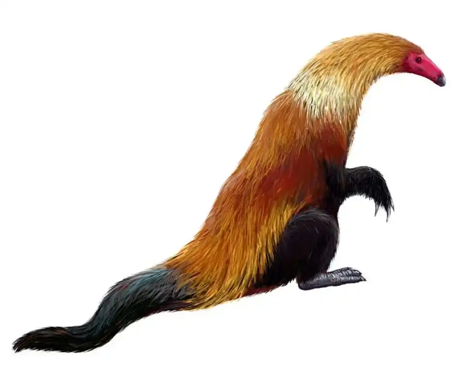 Interesting Neimongosaurus facts include that they are herbivores even though they descend from the meat-eating theropods.
