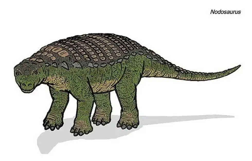 Interesting Nodosaurus facts and features from the Jurassic age in the world you did not know before!