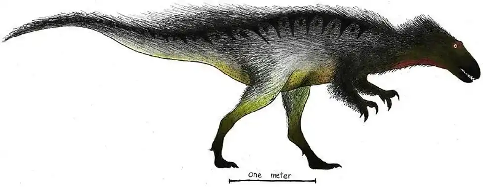 Interesting Orkoraptor facts for kids.