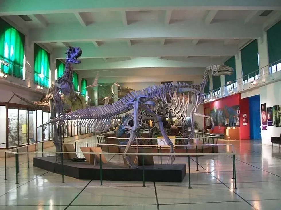 Interesting Secernosaurus facts for kids.