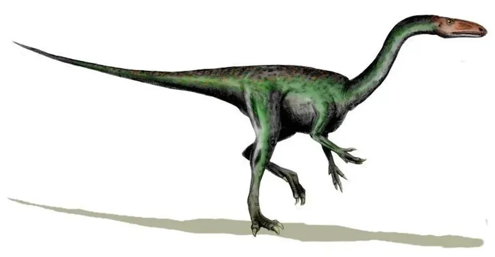 Interesting Segisaurus facts include that it is the only dinosaur ever to be extracted from the Navajo Sandstone Formation.