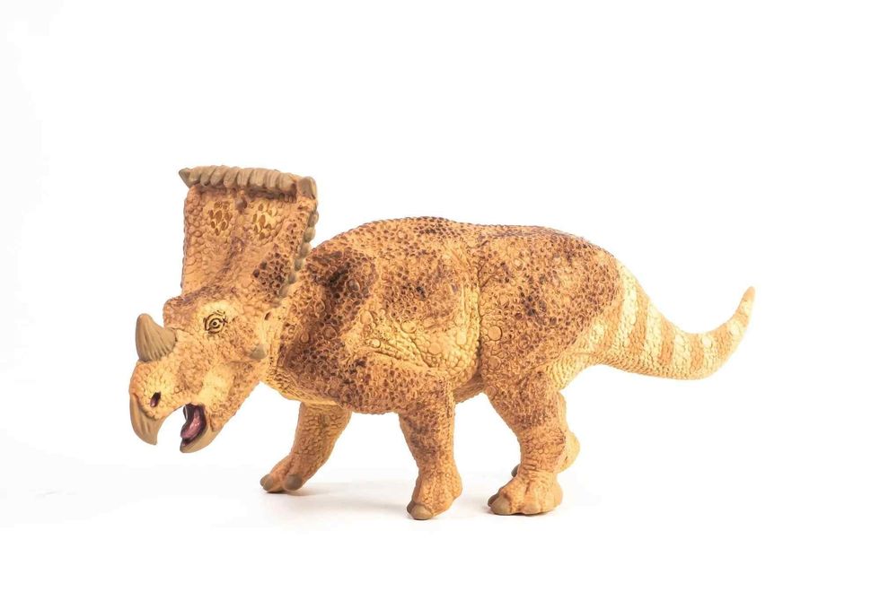 Interesting size and habitat facts about Vagaceratops.