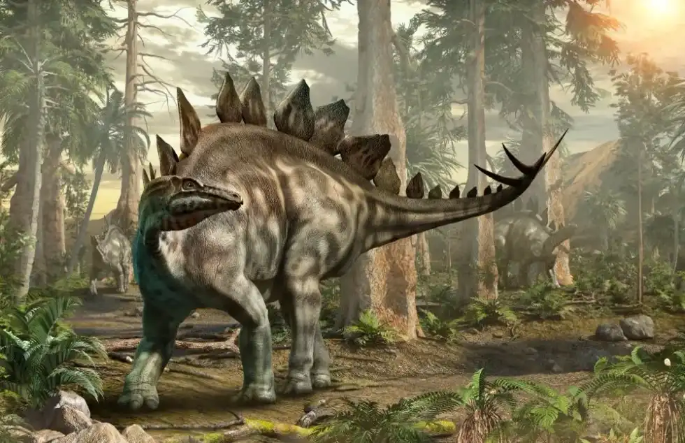 Interesting Stegosaurus facts include that they had rhombus-shaped armor plates on their backs.