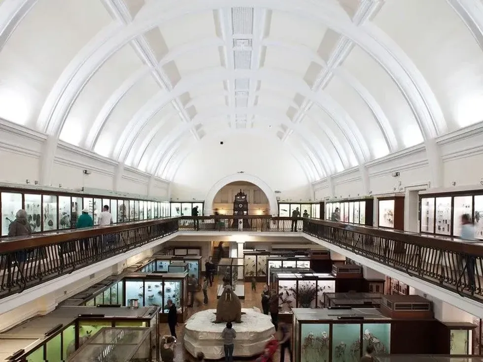 Interior perspective of domed building of Horniman Natural History Gallery.