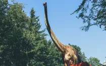 Intriguing Tazoudasaurus facts that you probably did not know.