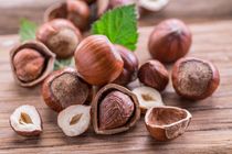 Is Hazelnut a tree or a shrub? Know interesting Hazelnut tree facts here.