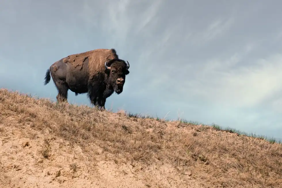 It is interesting to know facts about Cheyenne, Wyoming.