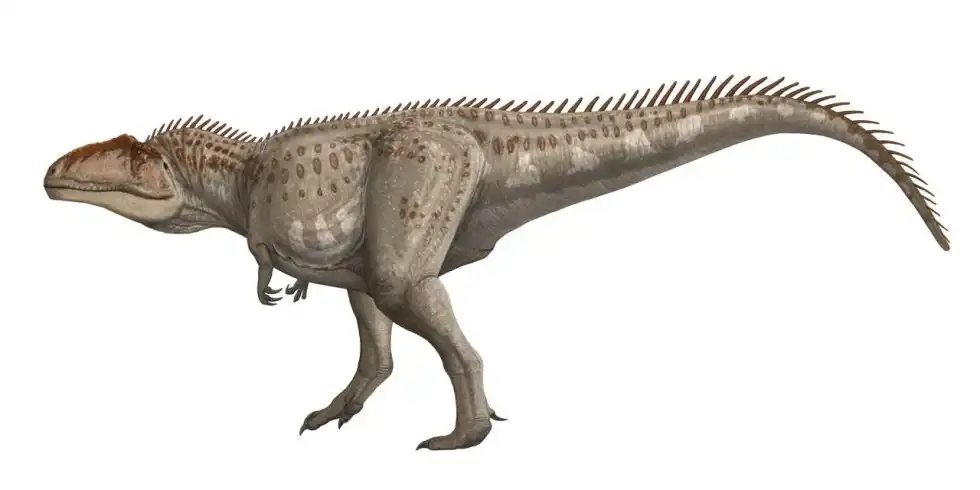 It is interesting to learn about Giganotosaurus facts.