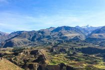 25 Colca Canyon Facts: Explore One Of The World's Deepest Canyons In ...