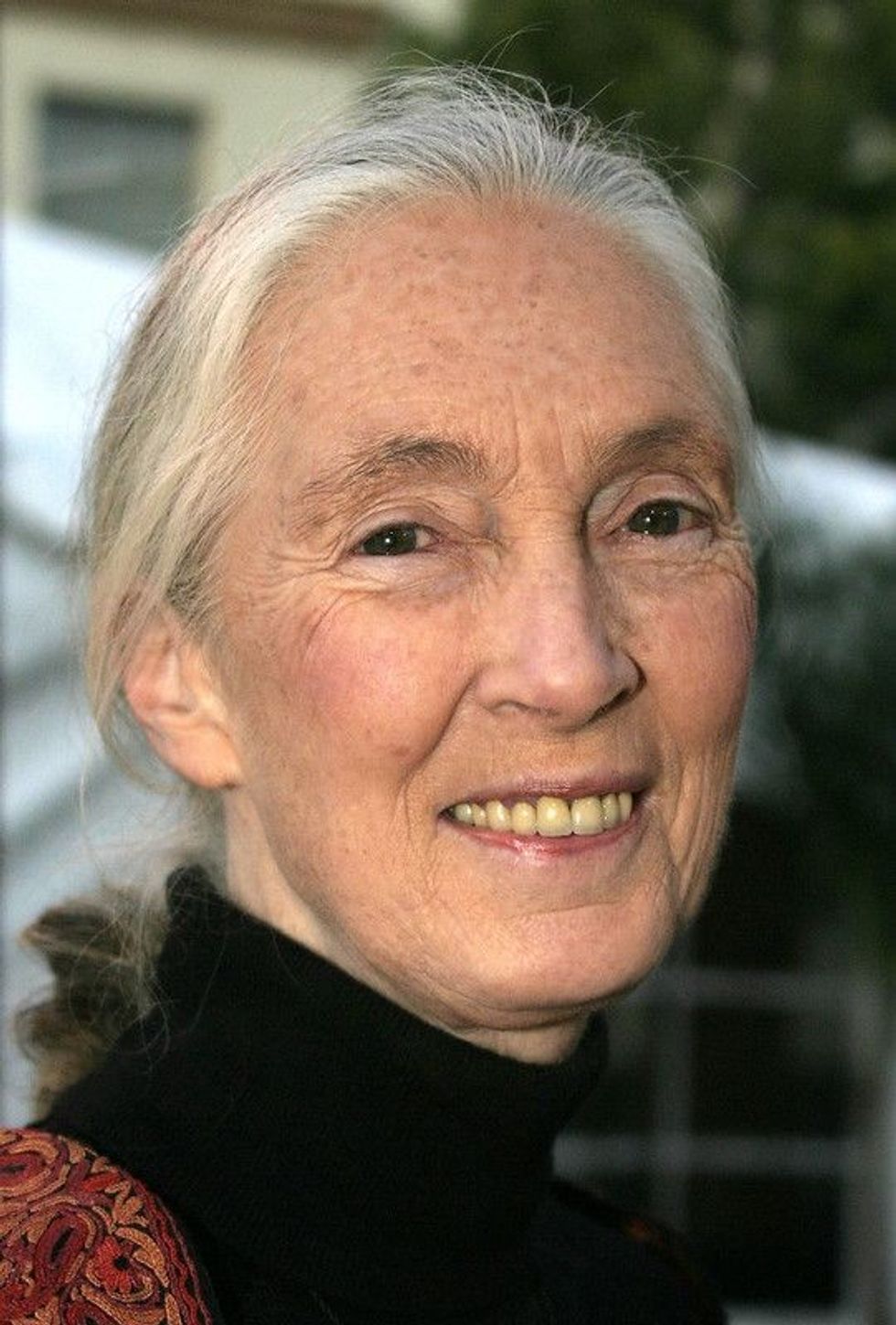Jane Goodall now spends almost all of her time advocating for chimps, environmental and conservation issues. Continue reading to find out everything about this achiever.
