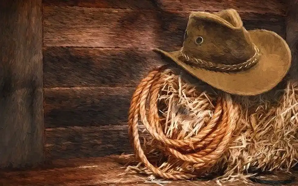 Jesse McCree is a cowboy outlaw in Overwatch.