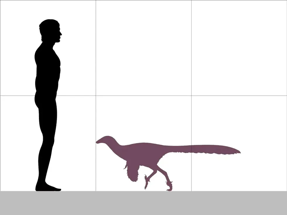 Jianianhualong facts are about a bird-like dinosaur of the Early Cretaceous period.