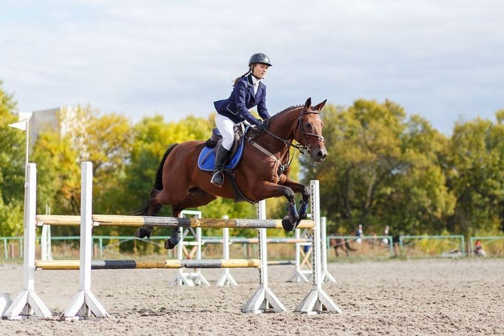 Jockey riding the horse 