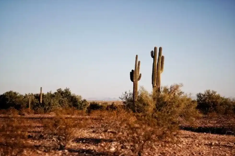 Just under 10% of Texas' land is desert.