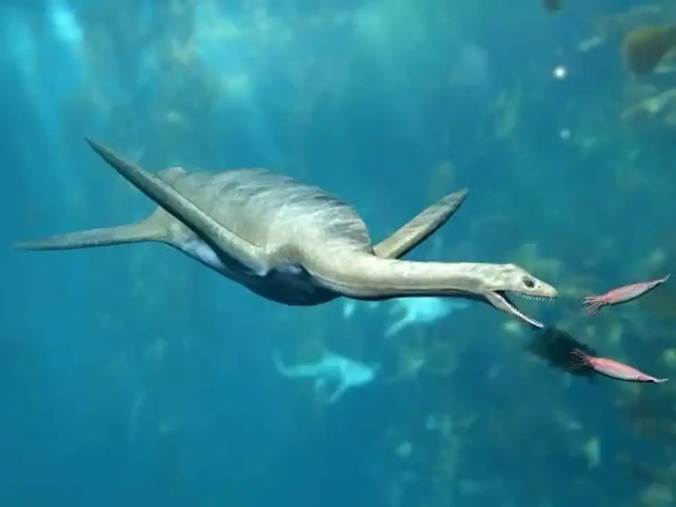 Kaiwhekea facts are all about a marine reptile of the Late Cretaceous period.