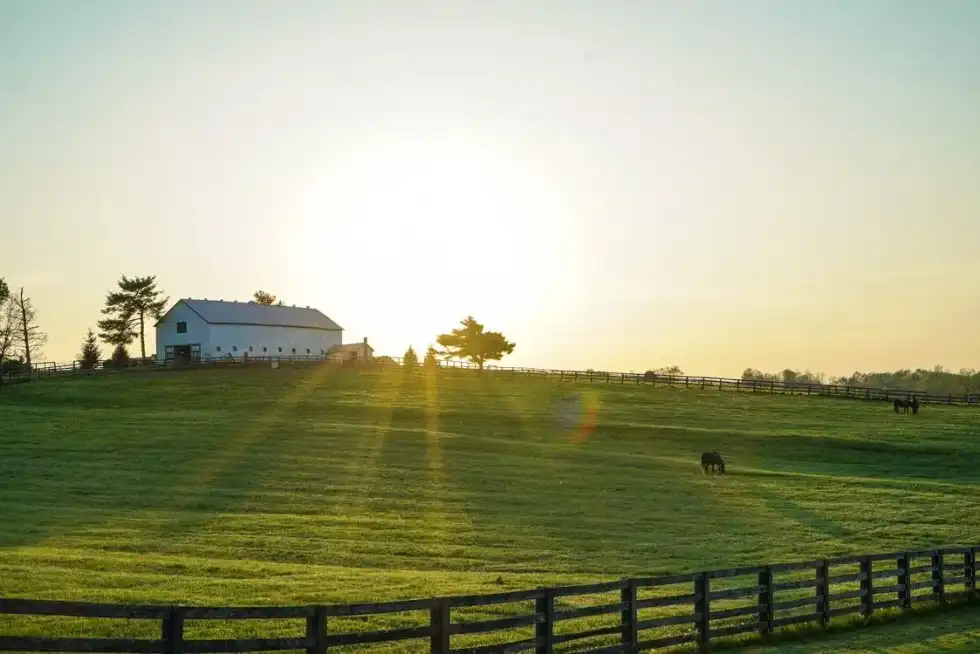 Kentucky is a US state.