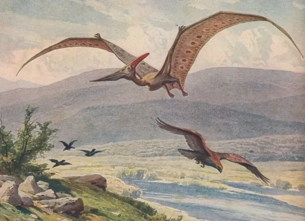 Kepodactylus facts are all about a pterosaur of the Late Jurassic period.