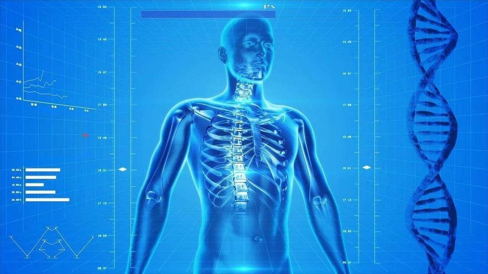 Know about Andreas Vesalius and his contribution to biology.