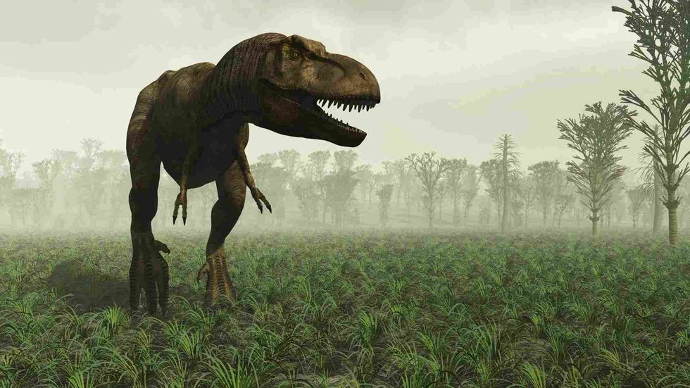 Know all about habitat and size of Streptospondylus.