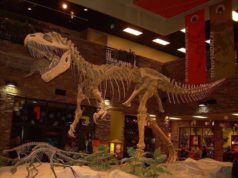 Know all the amazing facts about Torvosaurus.