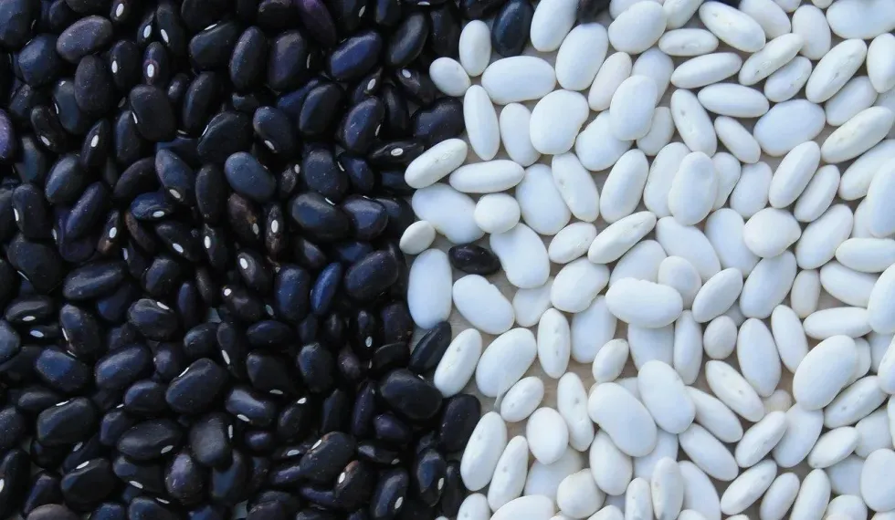 Know canned black beans nutrition facts for a healthy diet.