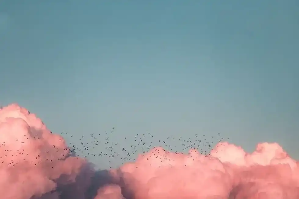 Know how light scattering paints the clouds pink, red, and shades of other colors.