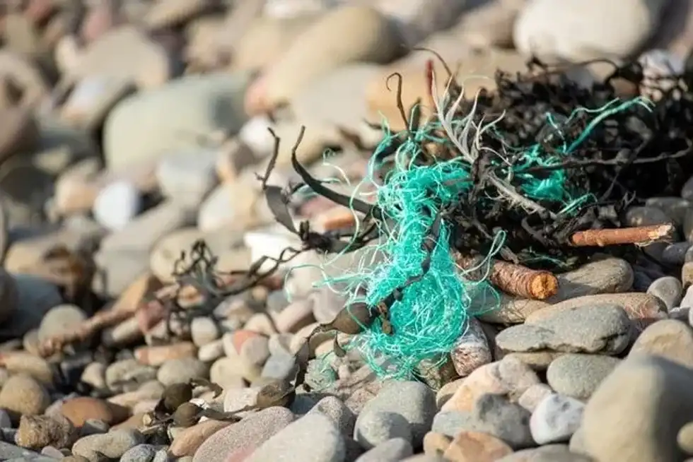 Knowledge of microplastics facts can help you to save the environment.