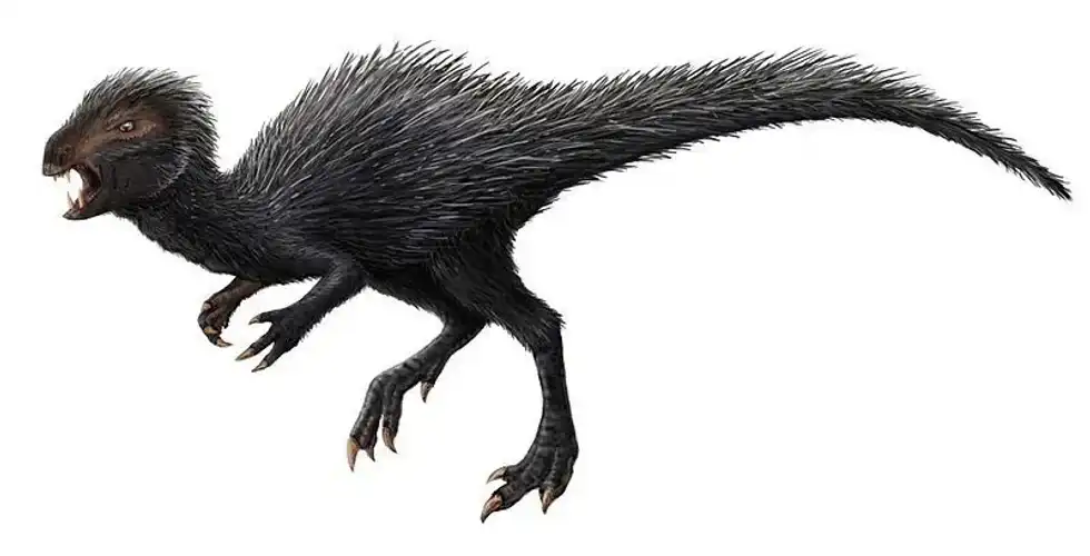 Koreanosaurus facts are interesting for informal dinosaur facts.