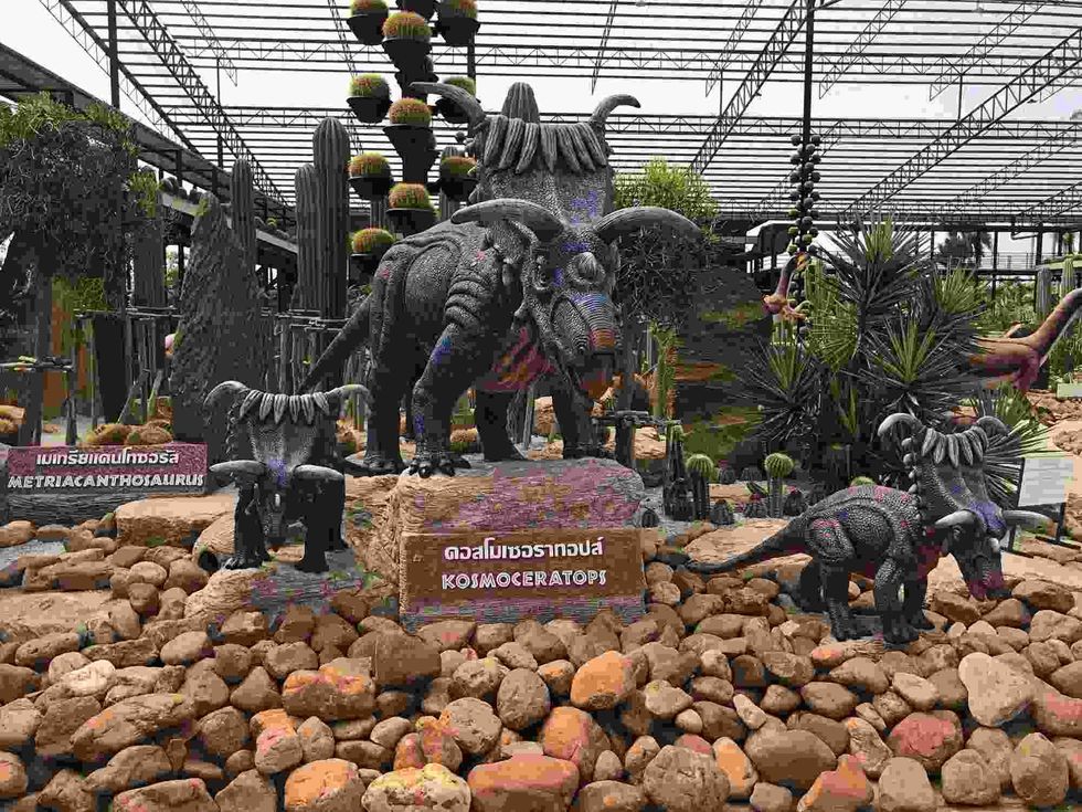 Kosmoceratops were herbivorous dinosaurs.