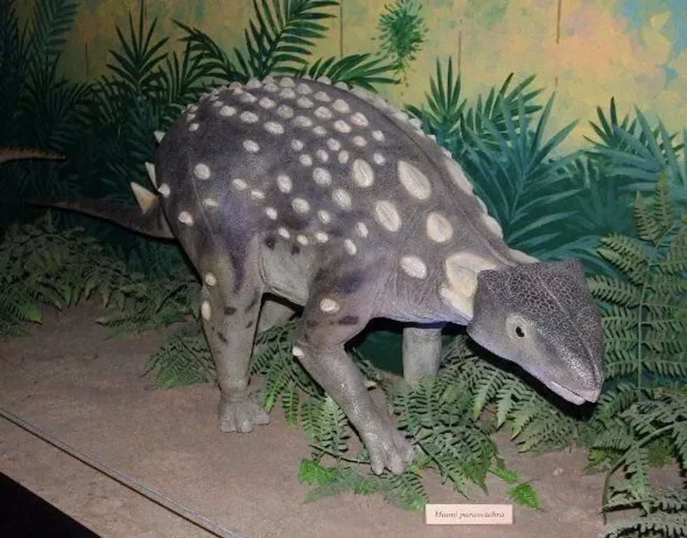 Kunbarrasaurus facts are about an ankylosaur that existed about 99.7 million years ago and was a close relative of Minmi.