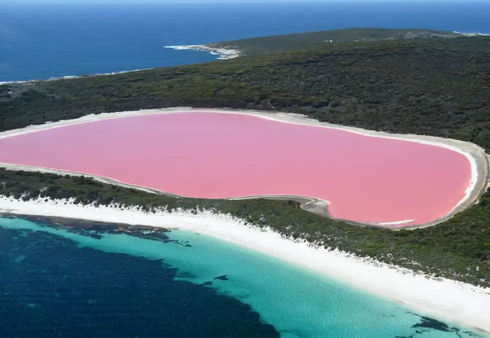 Lake Hillier is a beautiful pink lake located on Australia's south coast.