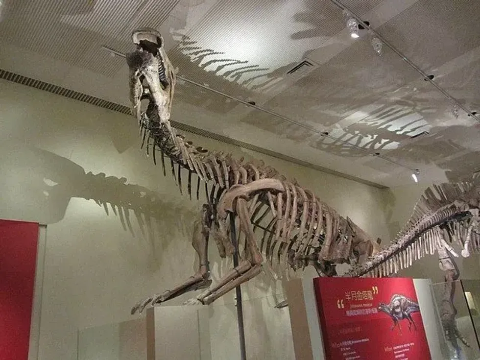 Lanzhousaurus facts include that the name means 'Lanzhou lizard'.