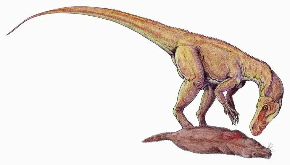 Laquintasaura facts are all about a dinosaur of the Ornithischia clade.