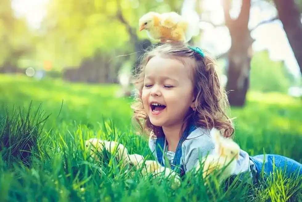 Laughing at bird jokes