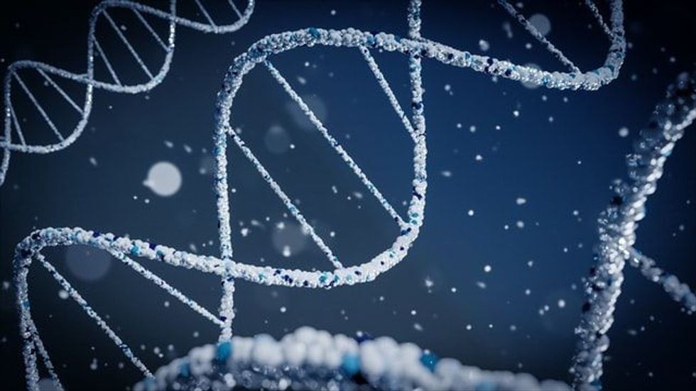 Learn about DNA and sequencing, with these genotype facts!