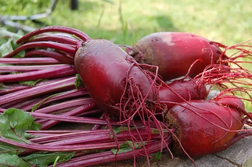 Learn about the health benefits of this vegetable in beetroot facts.