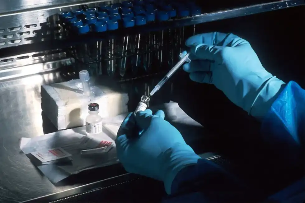 Learn about the human origin by reading biotechnology facts!