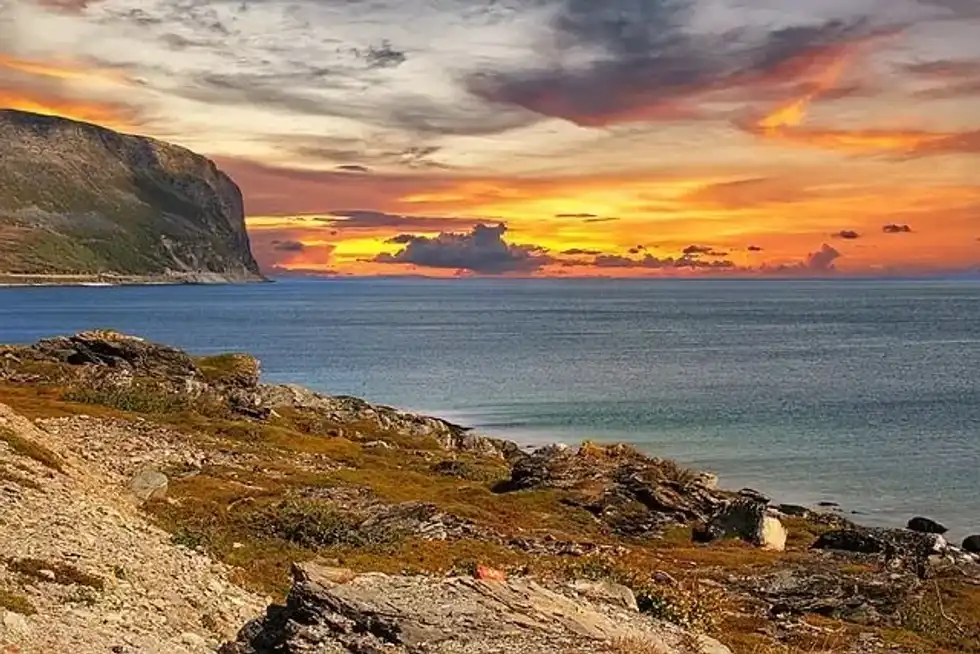 Learn fun facts about the Barents Sea location here at Kidadl.