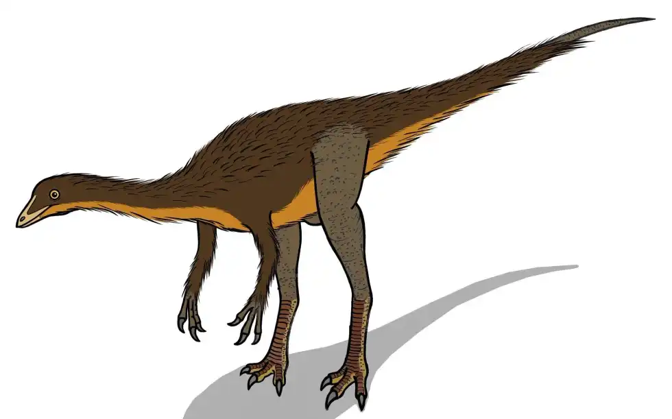 Learn mind-blowing facts about extinct animals with these Dromiceiomimus facts.
