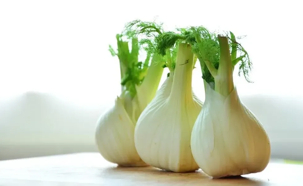 Learn more about fennel facts, from its health benefits to how to prepare it.