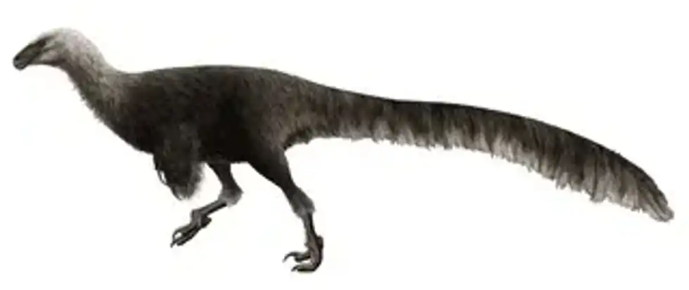 Learn some amazing Ornitholestes facts!