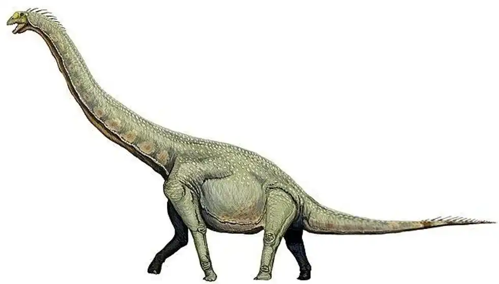 Learn some amazing Phuwiangosaurus facts!