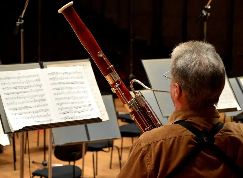 Learn some bassoon facts with us before buying your tickets to your next orchestra!