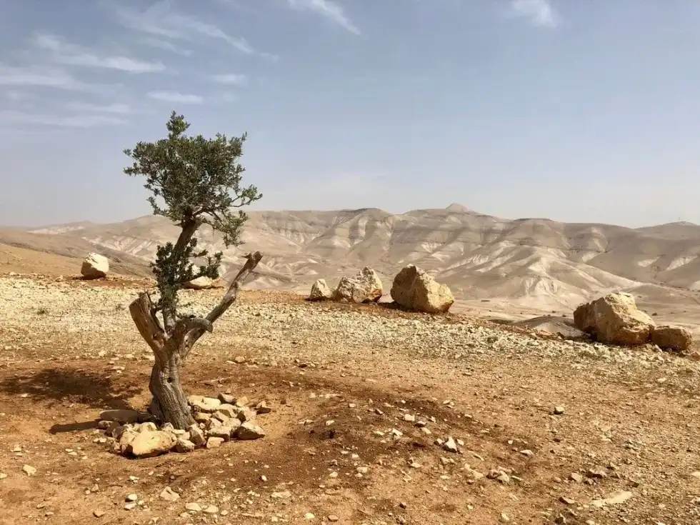 Learn some city of Jericho facts!