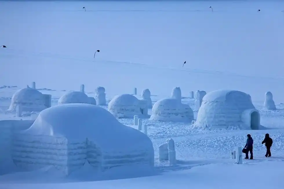 Learn some igloo facts with us today!